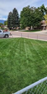 Kentucky Blue diagonal